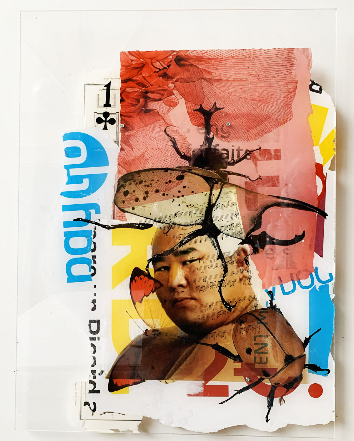 POWER SUMO 17 Nental Original painting for sale