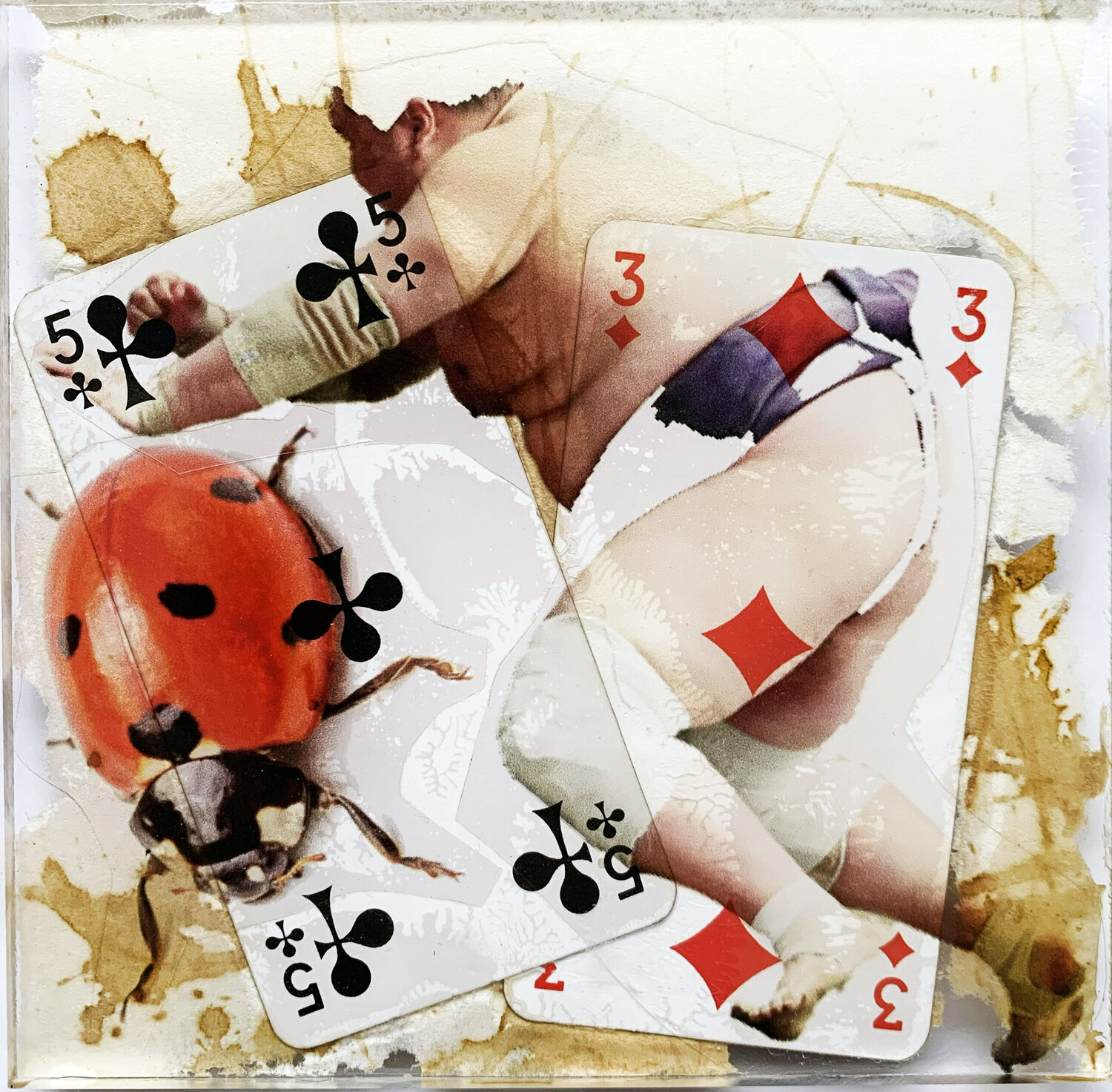 SPIRITO 5 TREFLE COCINELLE SUMO Nental Original painting for sale