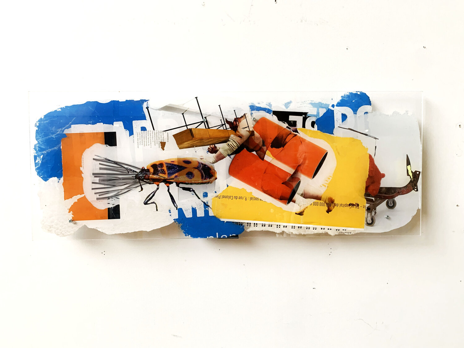 POWER SUMO 5 Nental Original painting for sale