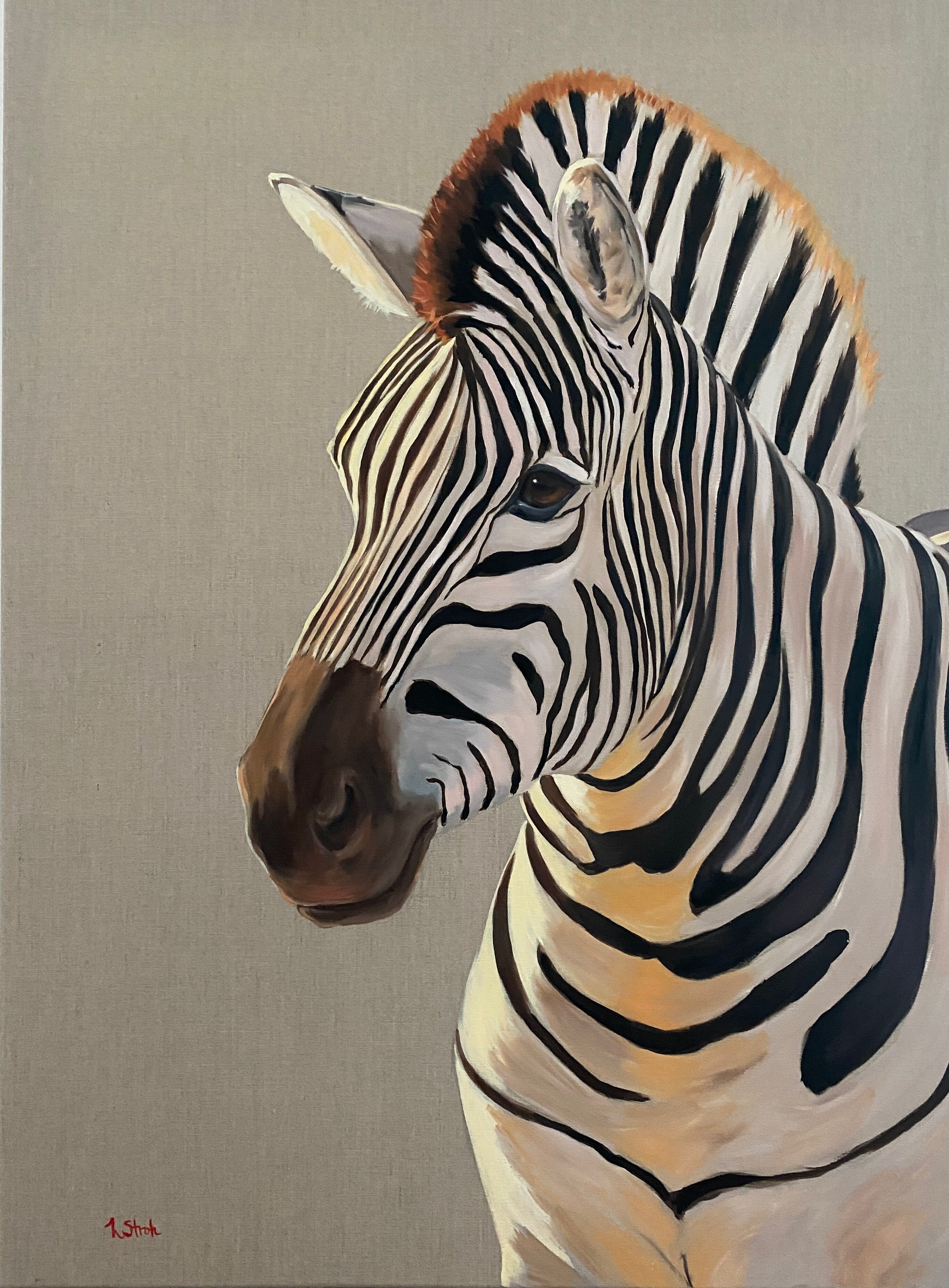 Topic Zebra