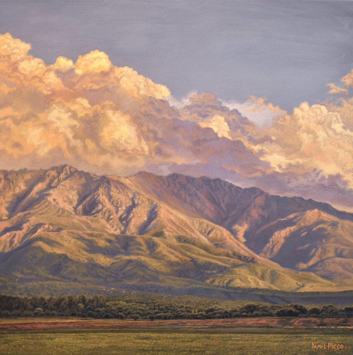 "Mis montañas" Yamil Picco Original painting for sale
