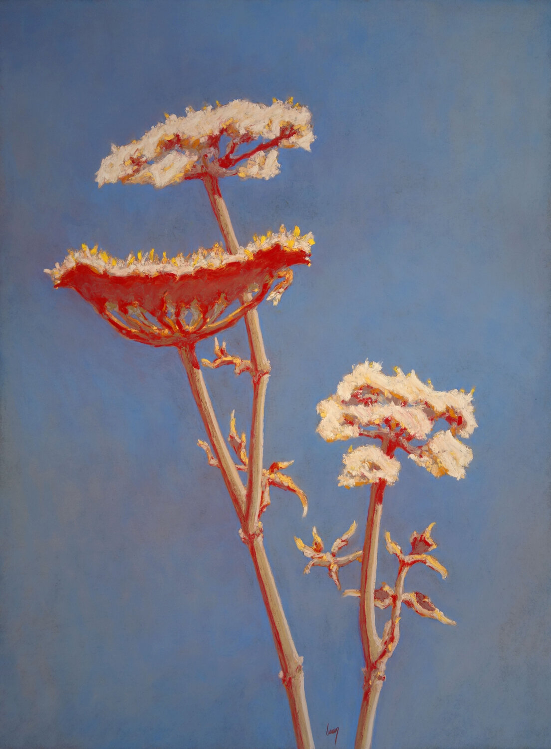 Carotte sauvage, rouge François Cusson Original painting for sale