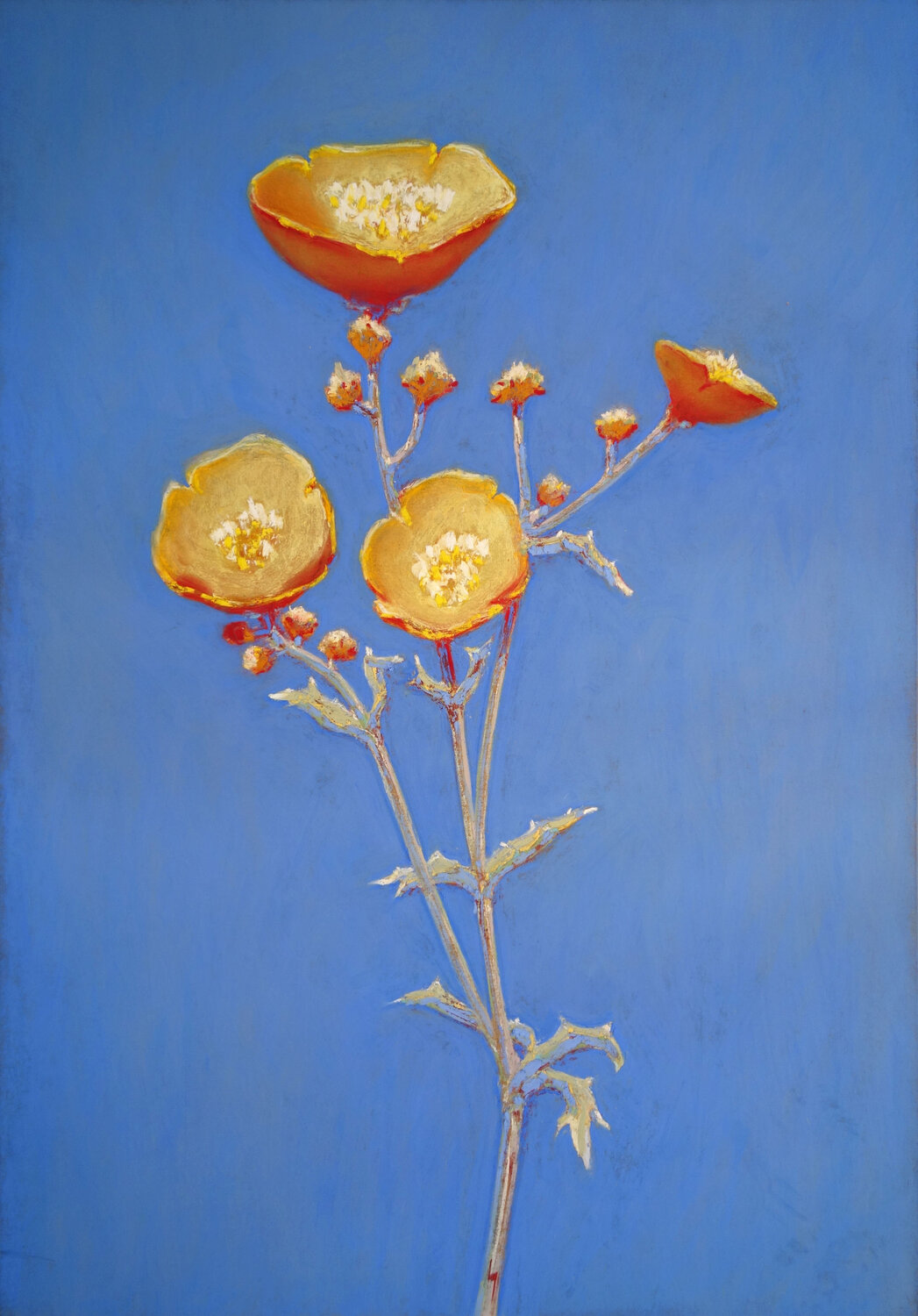 Bouton d'or François Cusson Original painting for sale