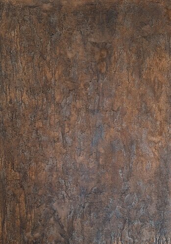Corteccia by Patrizia Martiradonna, Painting for Sale on Select