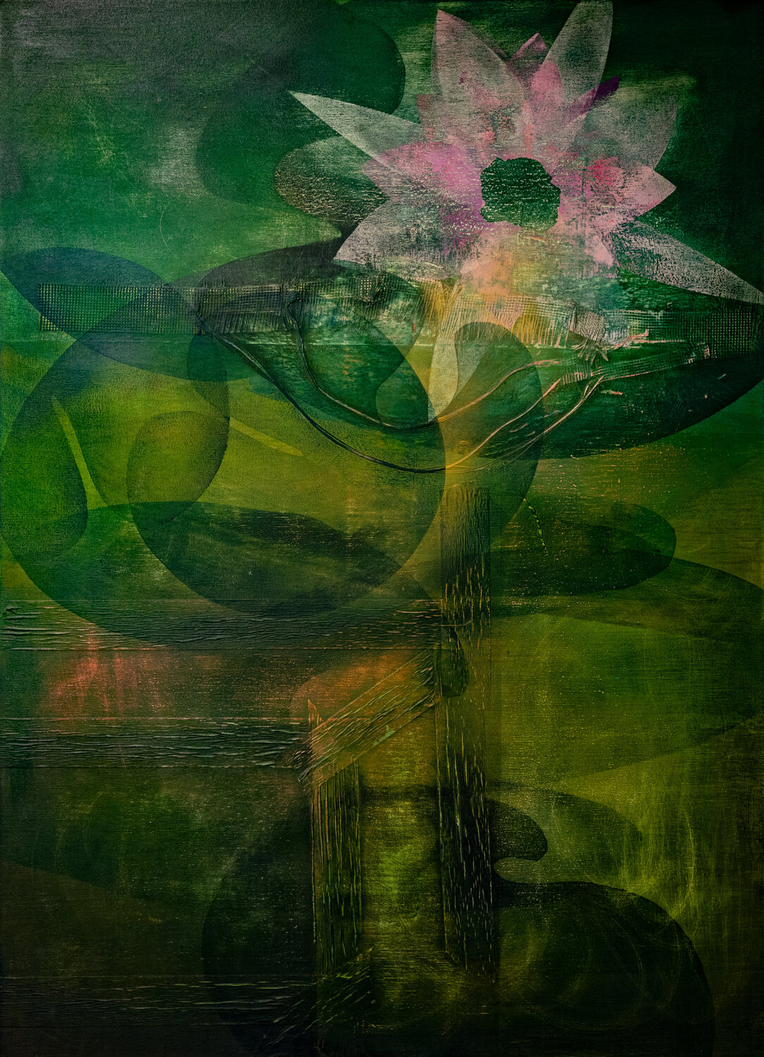 Seerosen II Peter Knauer Original painting for sale