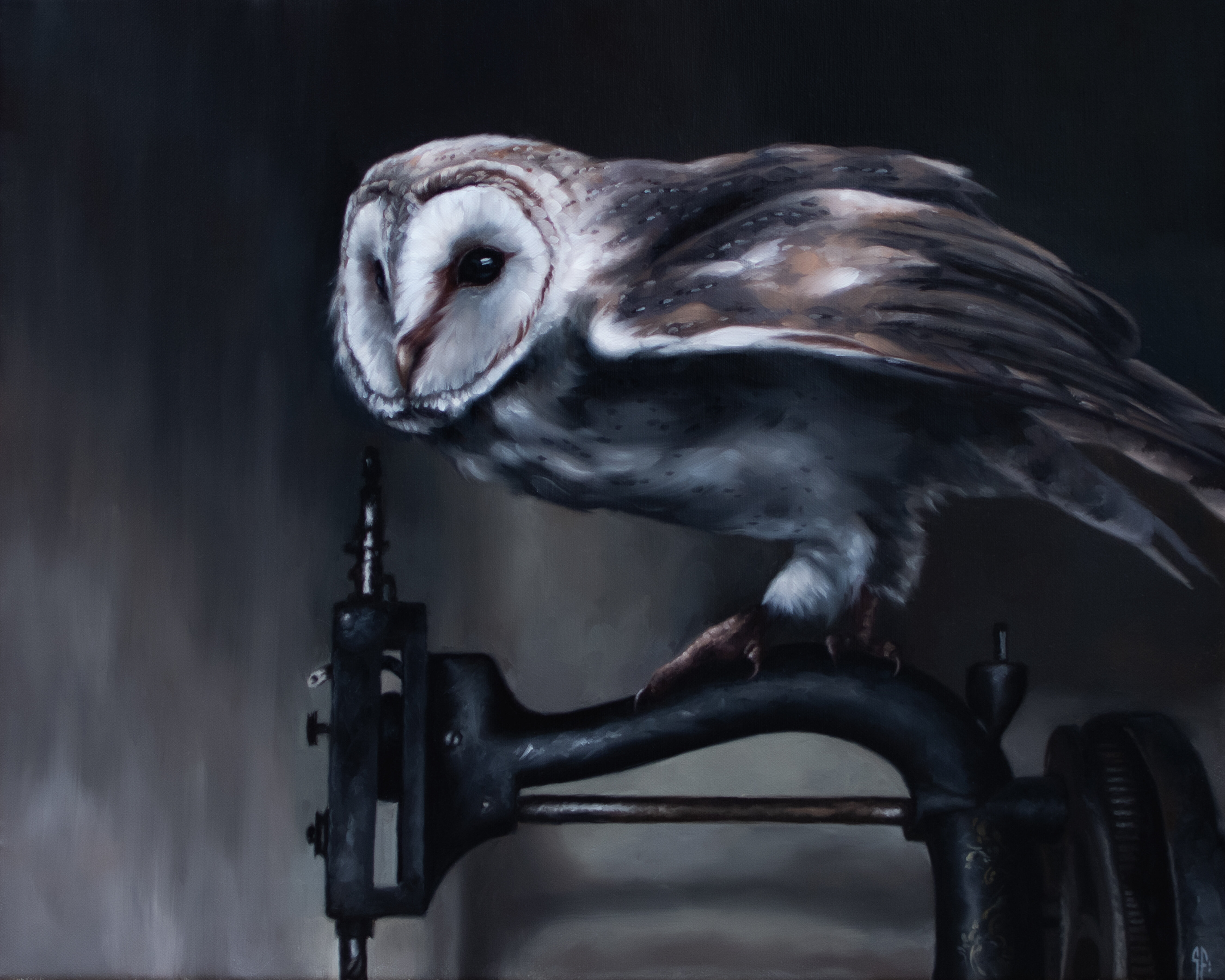 Topic Barn Owl paintings