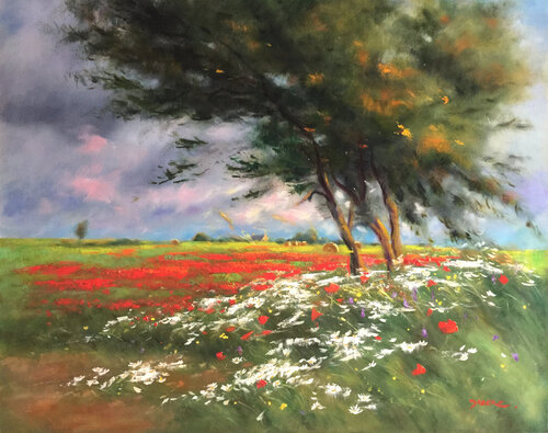 Marguerites et coquelicots by PASCAL DABERE, Painting for Sale on Select