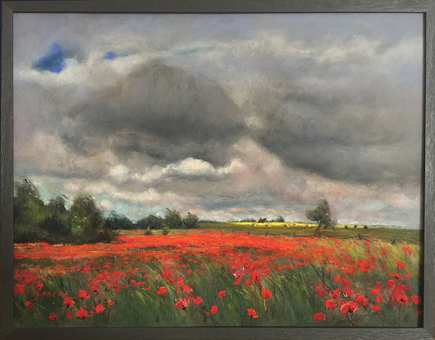 Champs de coquelicots PASCAL DABERE Original painting for sale