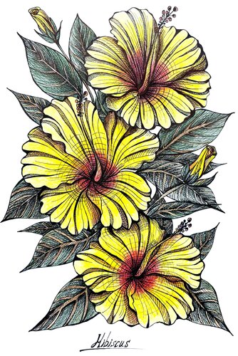 YELLOW HIBISCUS DRAWING by Tuzhilkina Maria, Drawing for Sale on Select