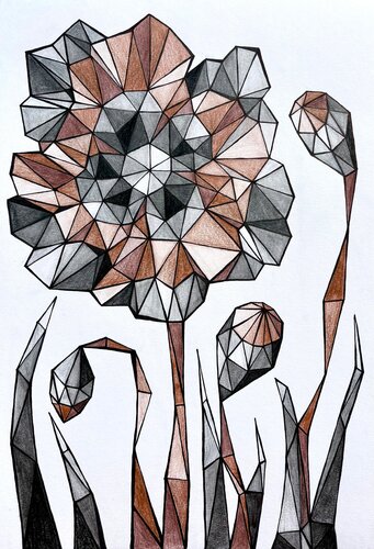 TERRACOTTA POPPY IN CALM FIELD von Tuzhilkina Maria, Zeichnungen kaufen auf Select