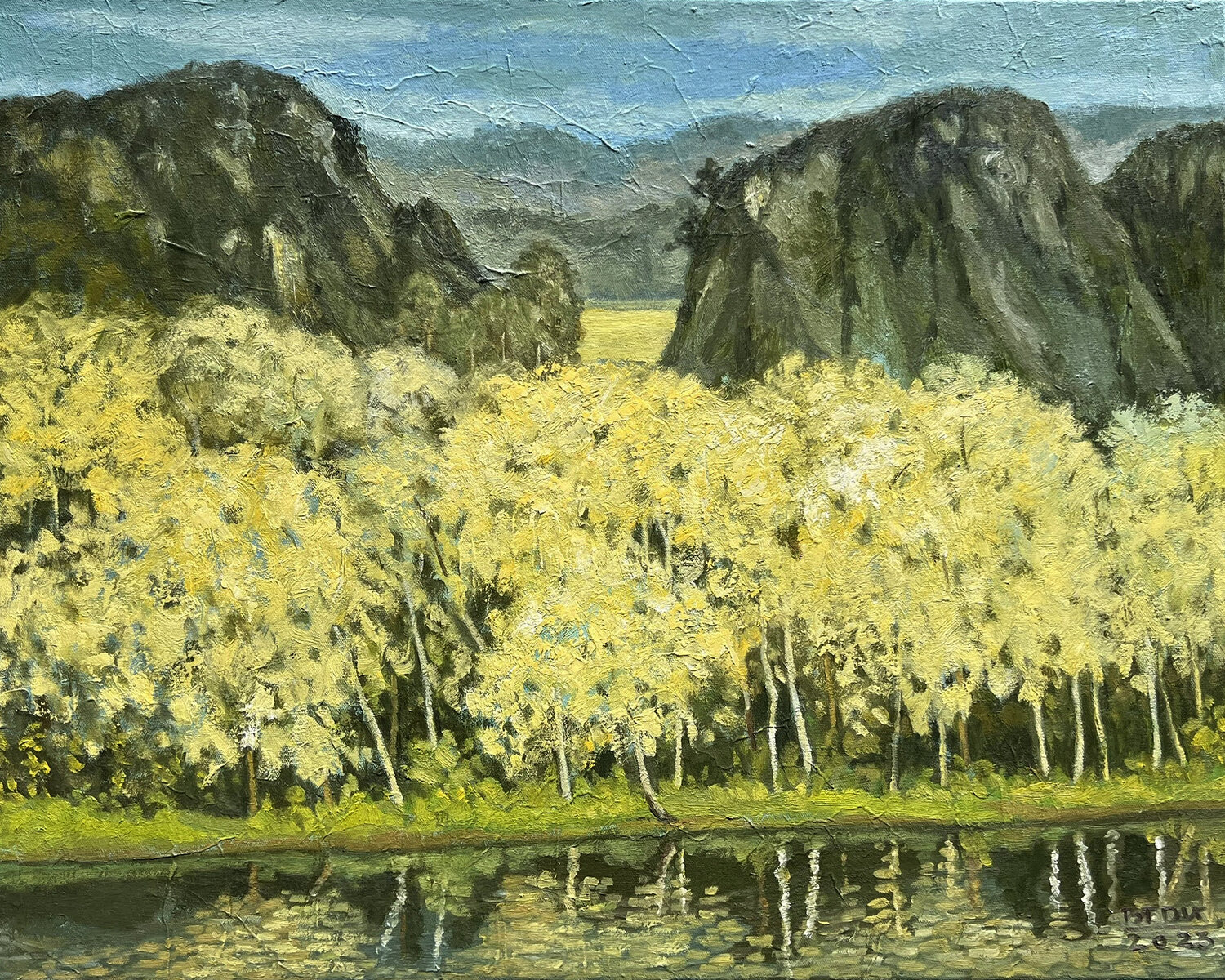 Peaceful Bui Trong Du Original painting for sale