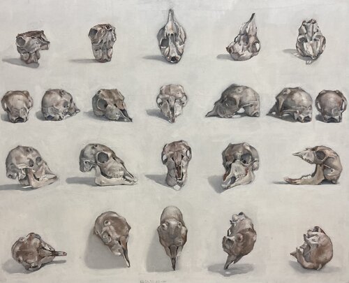 Cráneo de cabrito by Antonio Mateos Prieto, Painting for Sale on Select