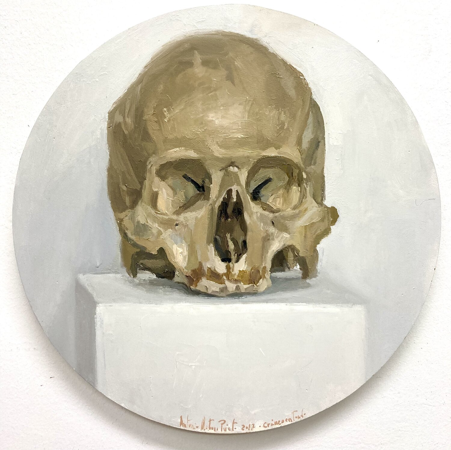 Cráneo humano en tondo. Crâne. Skull Antonio Mateos Prieto Original painting for sale
