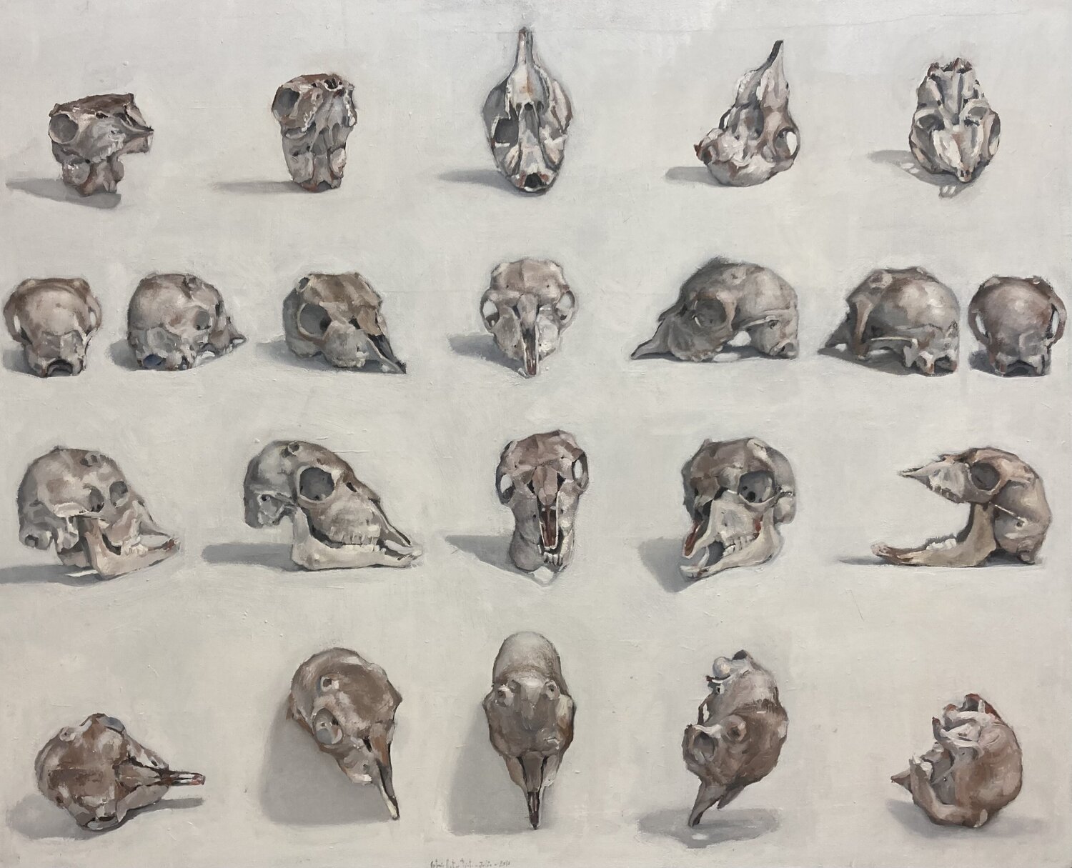 Cráneo de cabrito Antonio Mateos Prieto Original painting for sale
