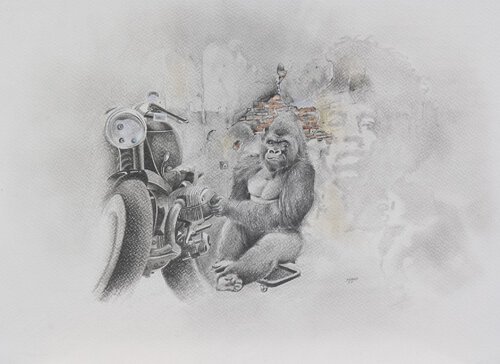 Limited Print Edition "King Kool 65" by Jean-Francois Miaule, Drawing for Sale on Select