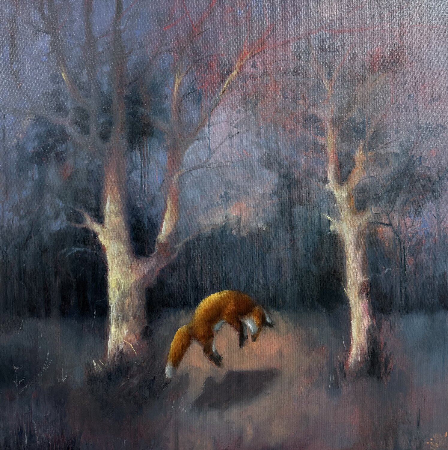 Study of a Playful Fox Behnaz Larsen Original painting for sale