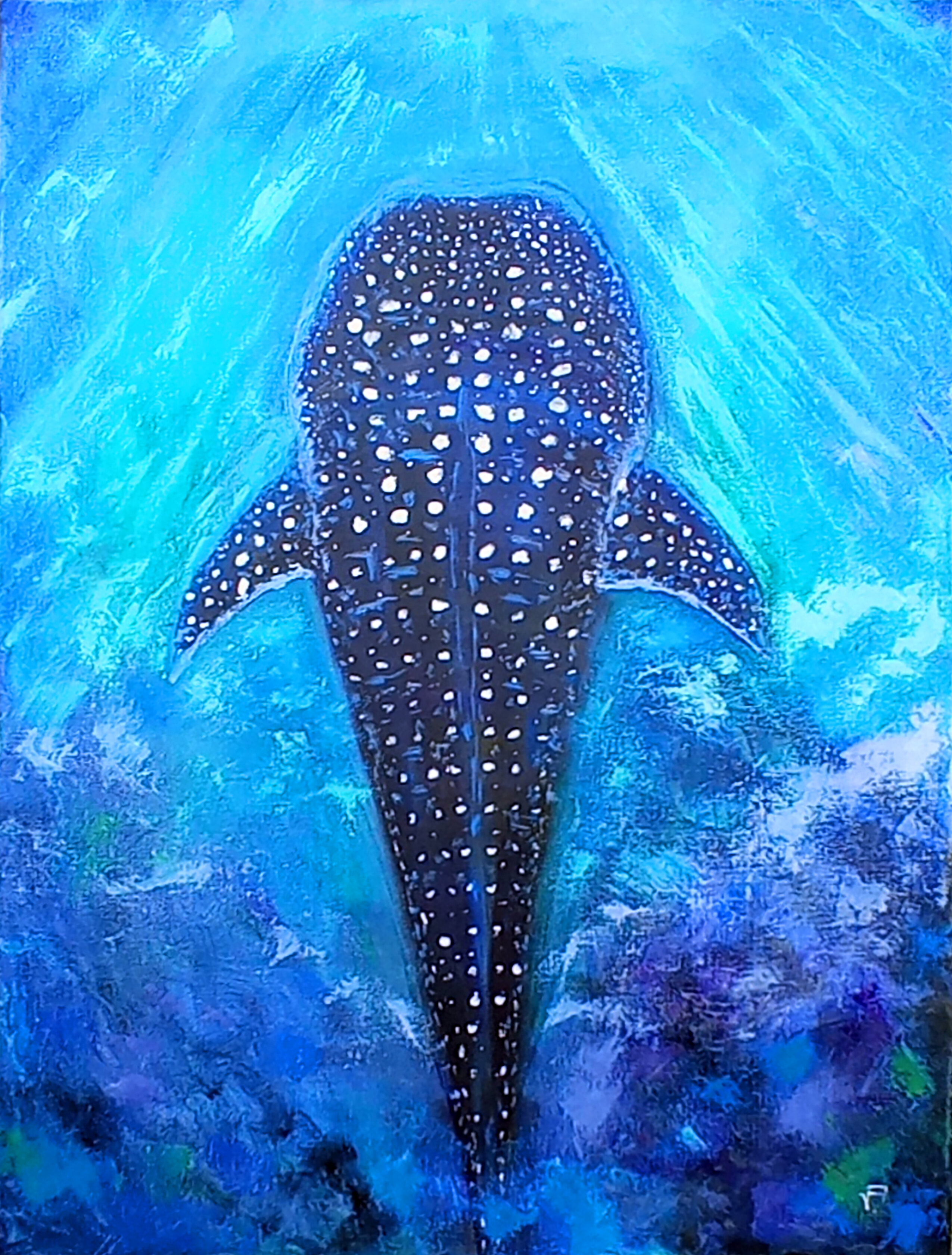 Topic Whale Shark paintings