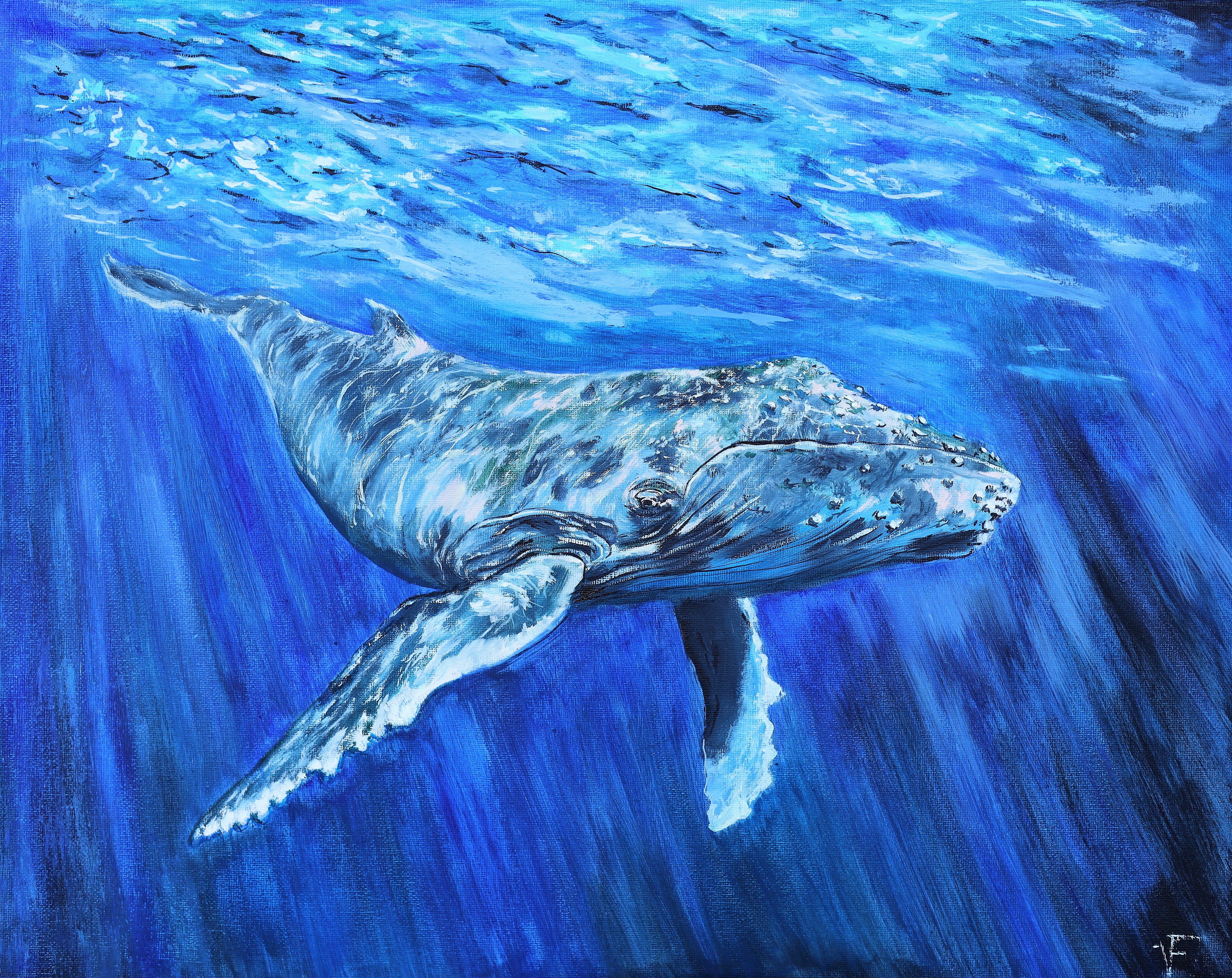 Topic Blue Whale paintings