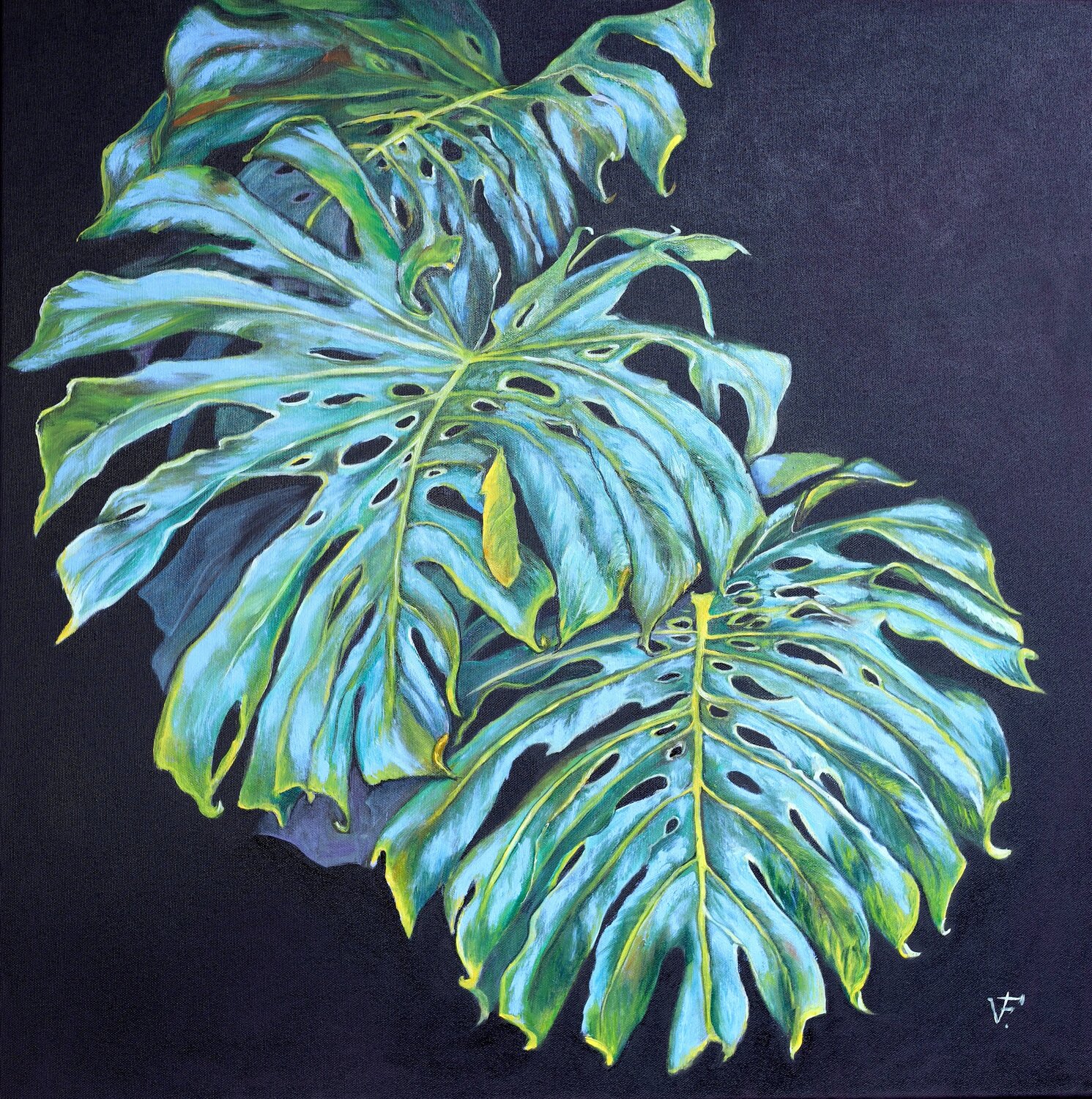 Pianta di Monstera. Viktoriya Filipchenko Original painting for sale