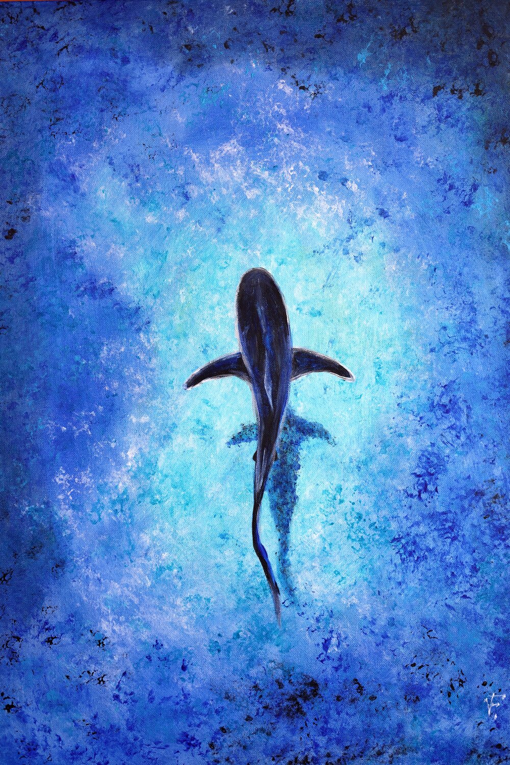 Lo squalo. Viktoriya Filipchenko Original painting for sale