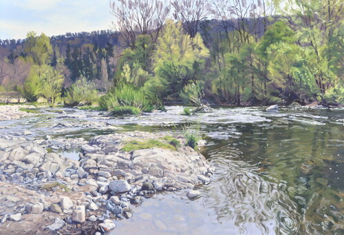 La Loire sauvage au printemps by Anne Baudequin, Painting for Sale on Select