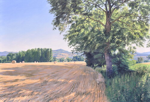 Après la moisson, lumière du matin by Anne Baudequin, Painting for Sale on Select