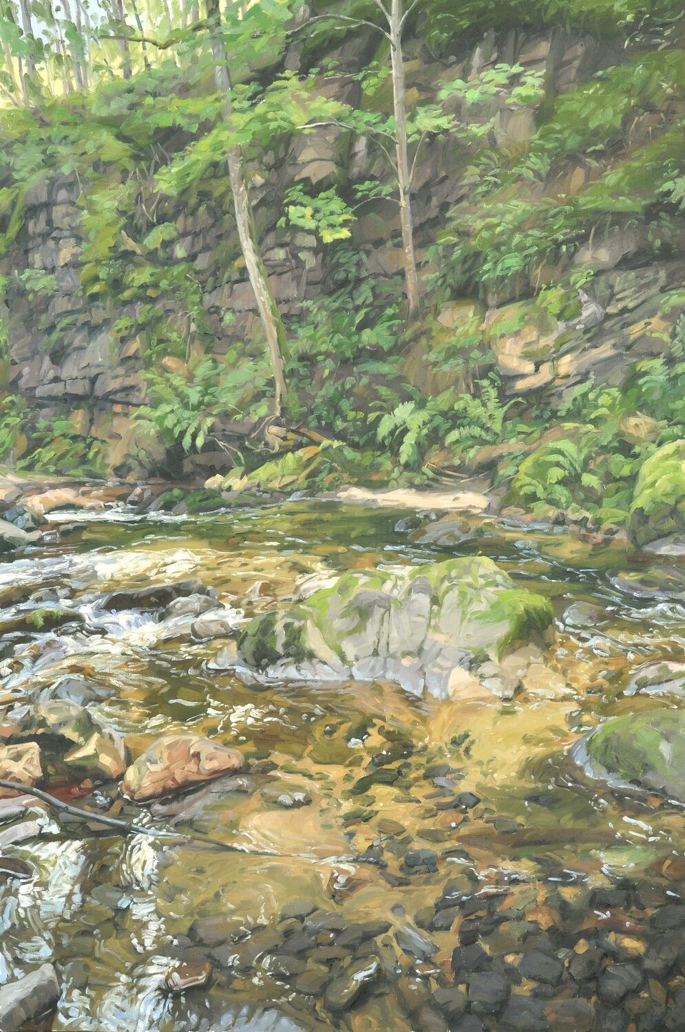 Rivière à l'ombre de la falaise Anne Baudequin Original painting for sale