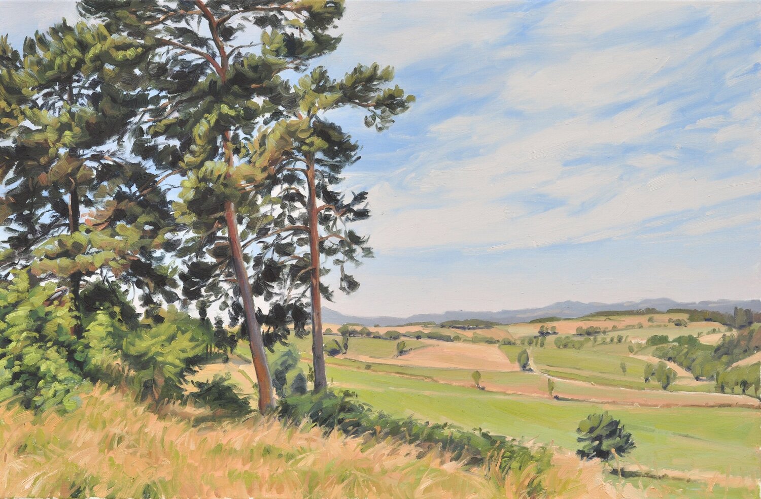 Ving-quatre juin, lumière d'été sur les monts du Velay Anne Baudequin Original painting for sale