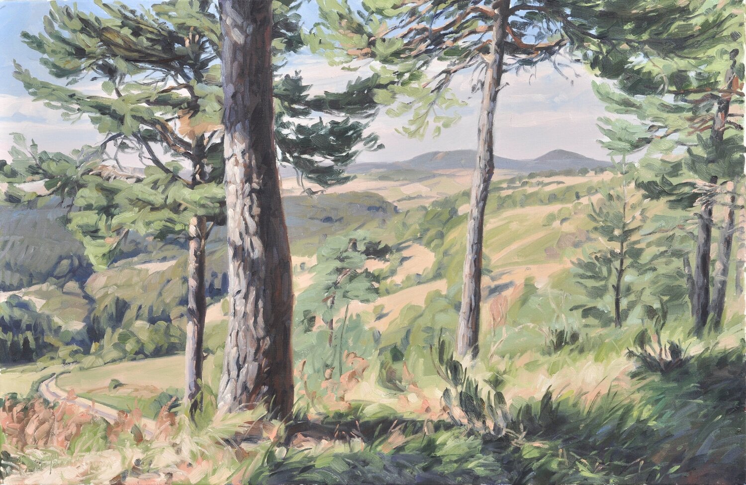 Mézenc, fin d'été Anne Baudequin Original painting for sale