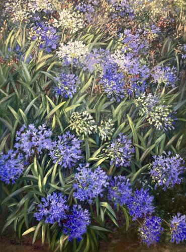 African Lily by Felicia Trales, Painting for Sale on Select
