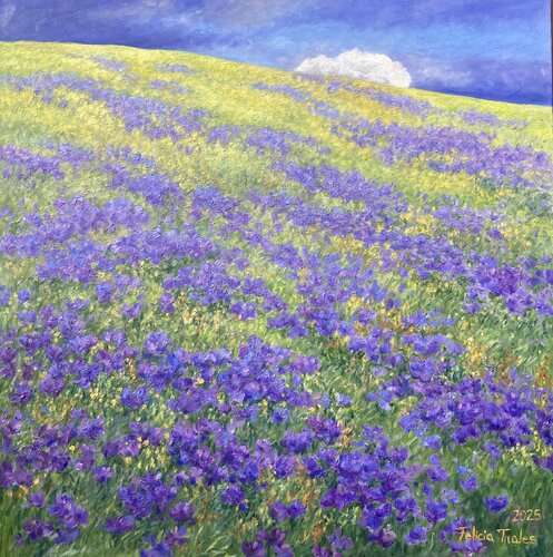 Cloud on the Hill by Felicia Trales, Painting for Sale on Select