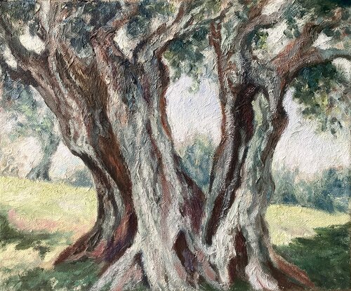 Olive Trees by Felicia Trales, Painting for Sale on Select