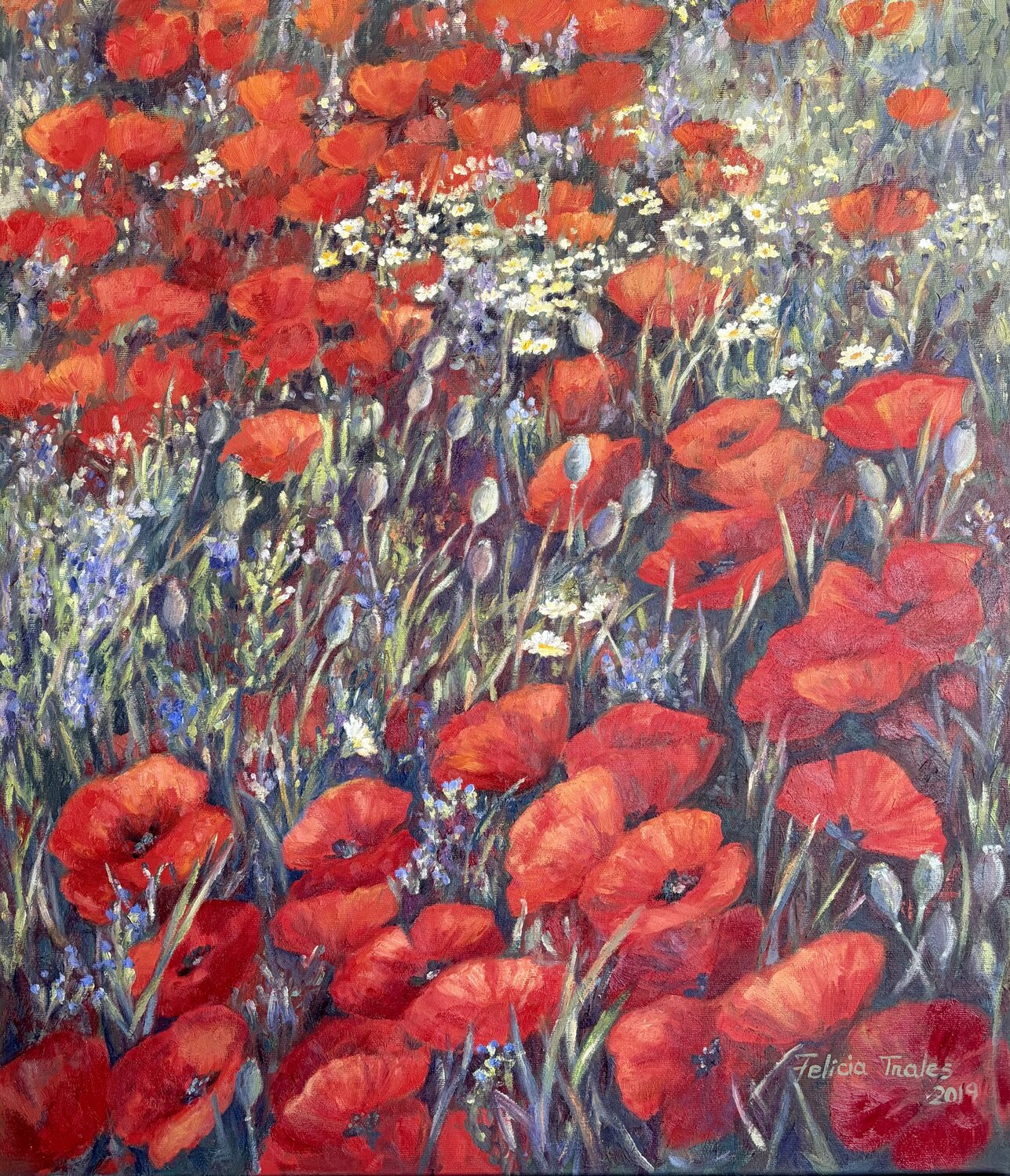 Wild red Poppies Felicia Trales Original painting for sale