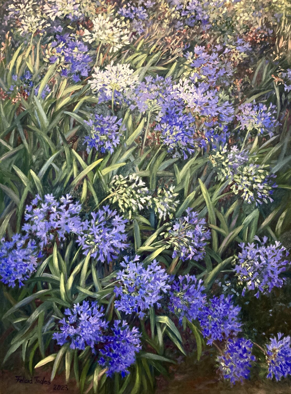 African Lily Felicia Trales Original painting for sale