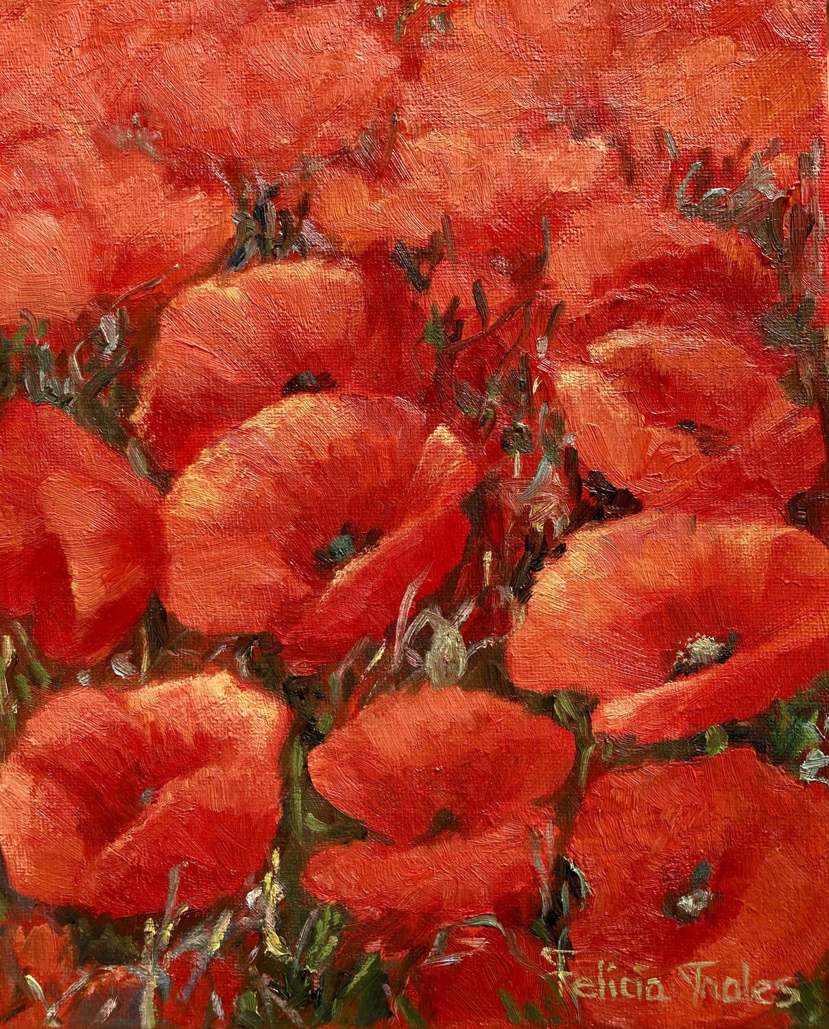 Poppies Felicia Trales Original painting for sale