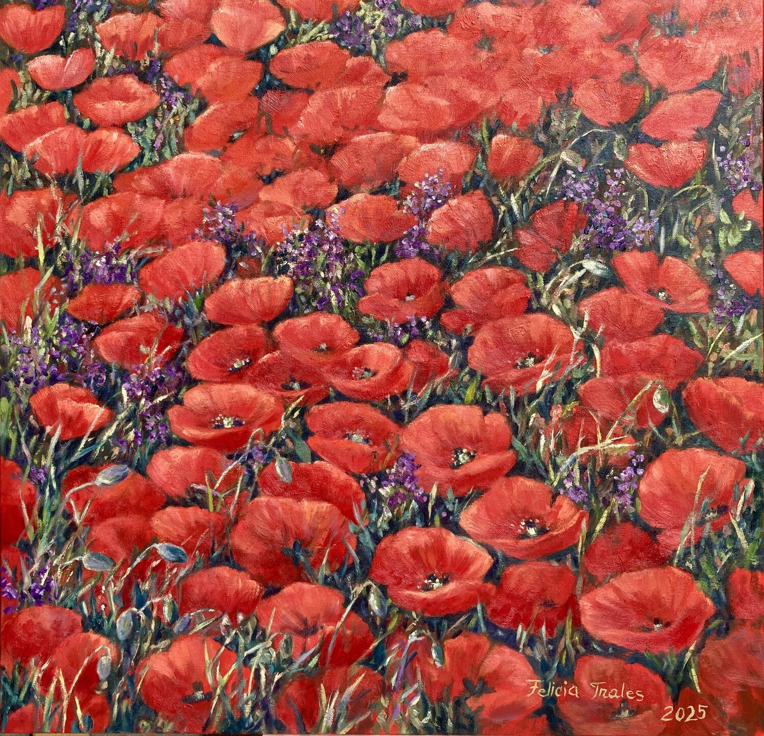 Red Poppys Felicia Trales Original painting for sale