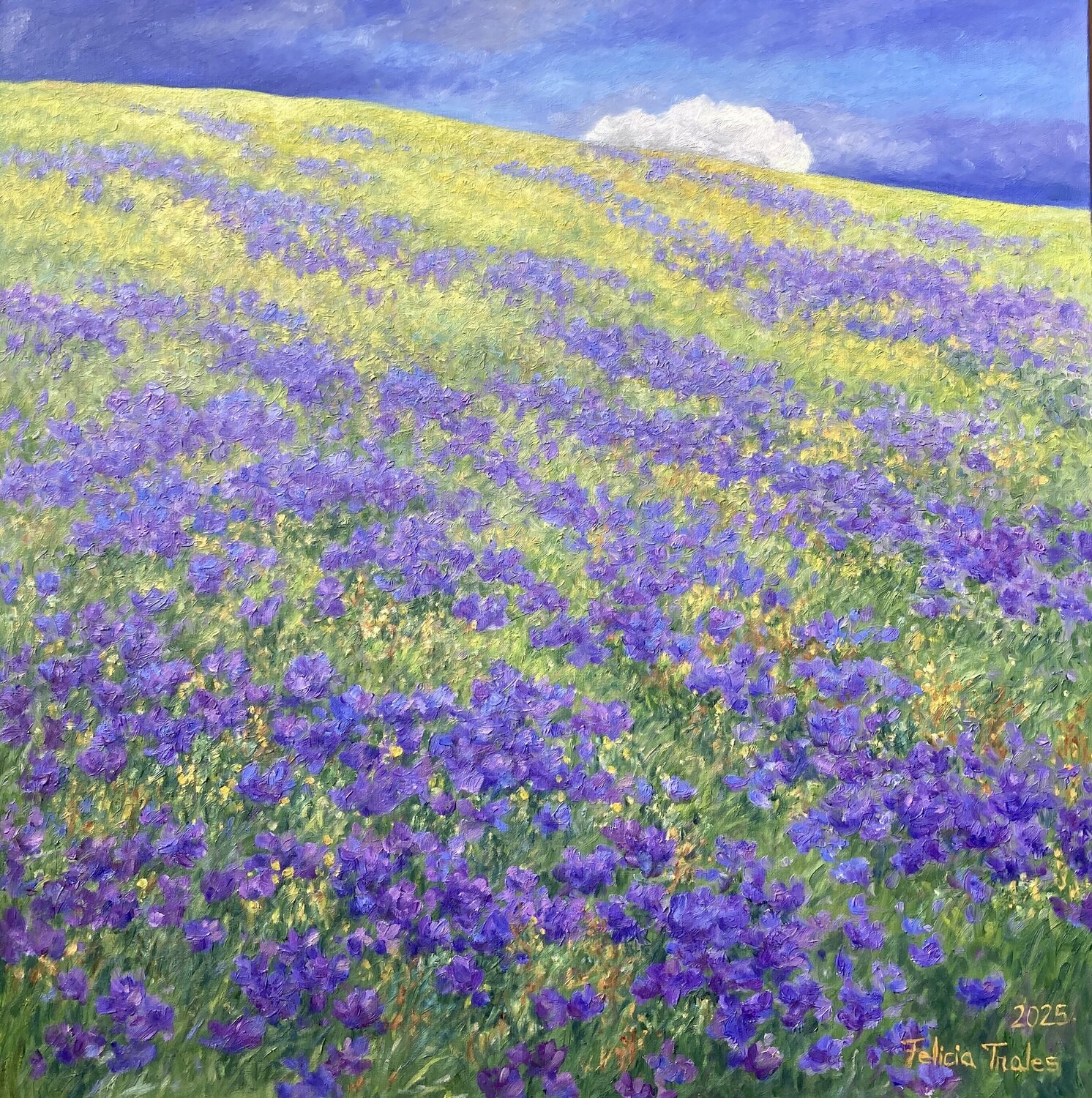 Cloud on the Hill Felicia Trales Original painting for sale