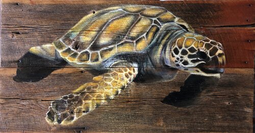Loggerhead Turtle on Barnwood by Tracy Ostmann Haschke, Painting for Sale on Select