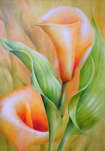 Callas and leaves by Annette Schmucker, Painting for Sale on Select