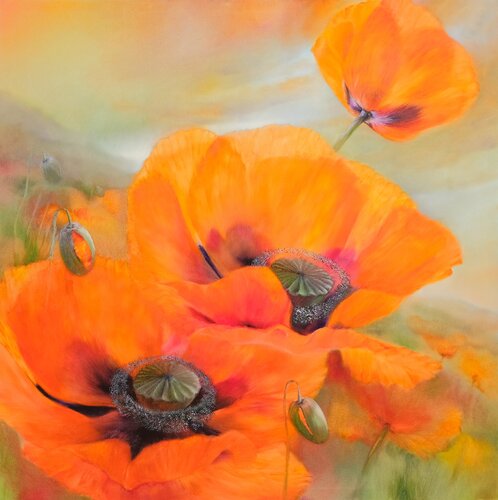 Tröstliche Aussichten - Comforting prospects by Annette Schmucker, Painting for Sale on Select