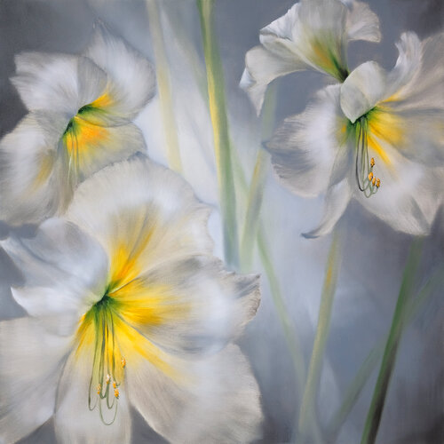 Weiße Amaryllis by Annette Schmucker, Painting for Sale on Select