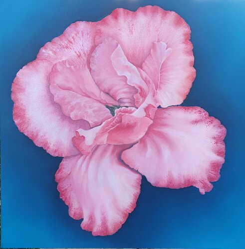 Un fiore regalato by Elisa Spagnoli, Painting for Sale on Select