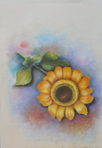 Girasole by Elisa Spagnoli, Drawing for Sale on Select