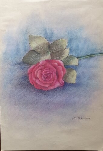 Una rosa by Elisa Spagnoli, Drawing for Sale on Select