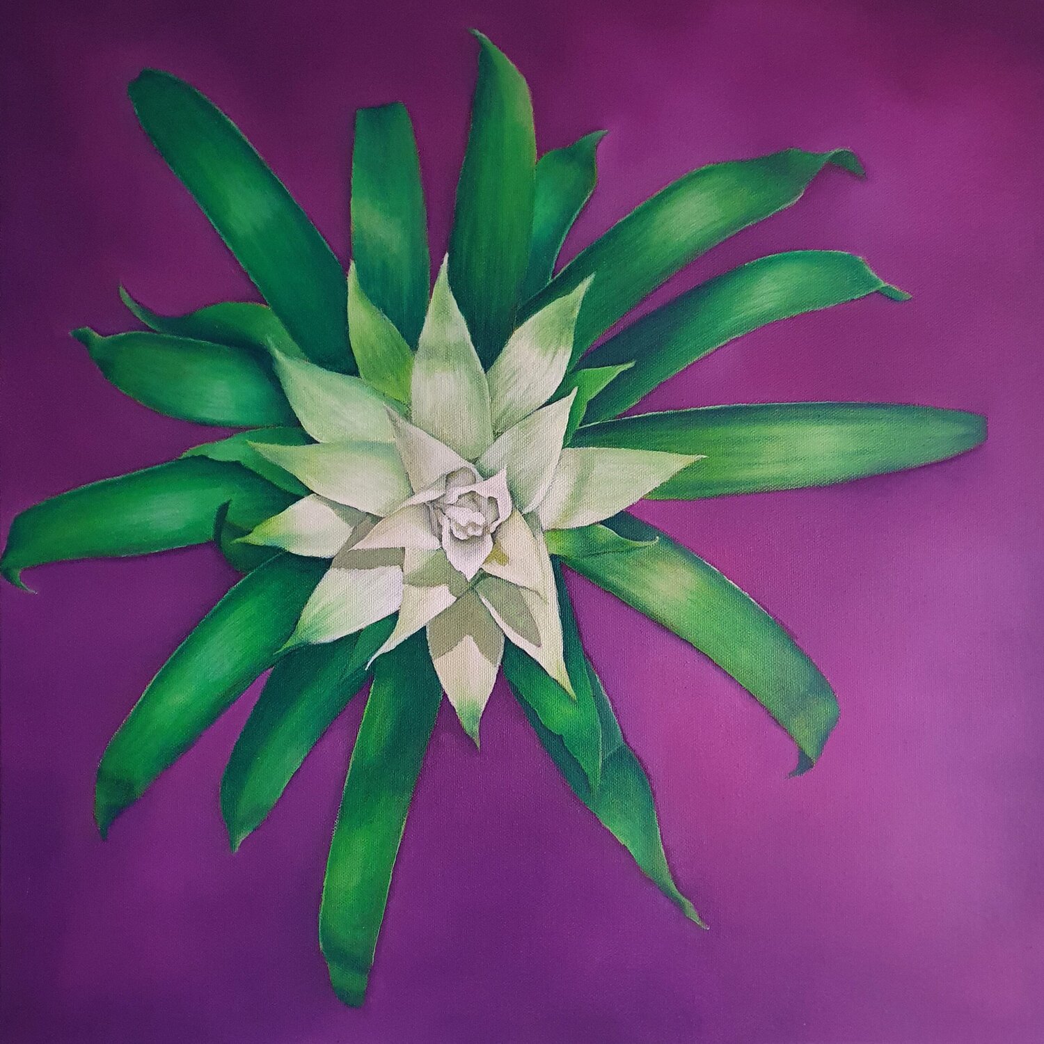 Guzmania Elisa Spagnoli Original painting for sale