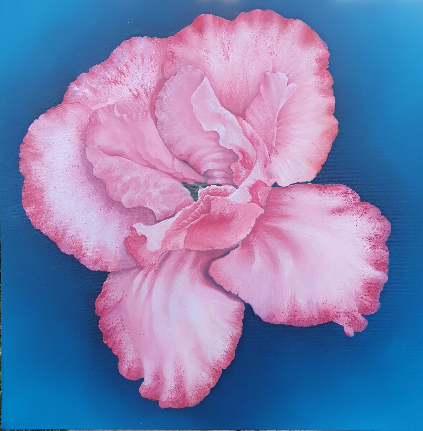 Un fiore regalato Elisa Spagnoli Original painting for sale