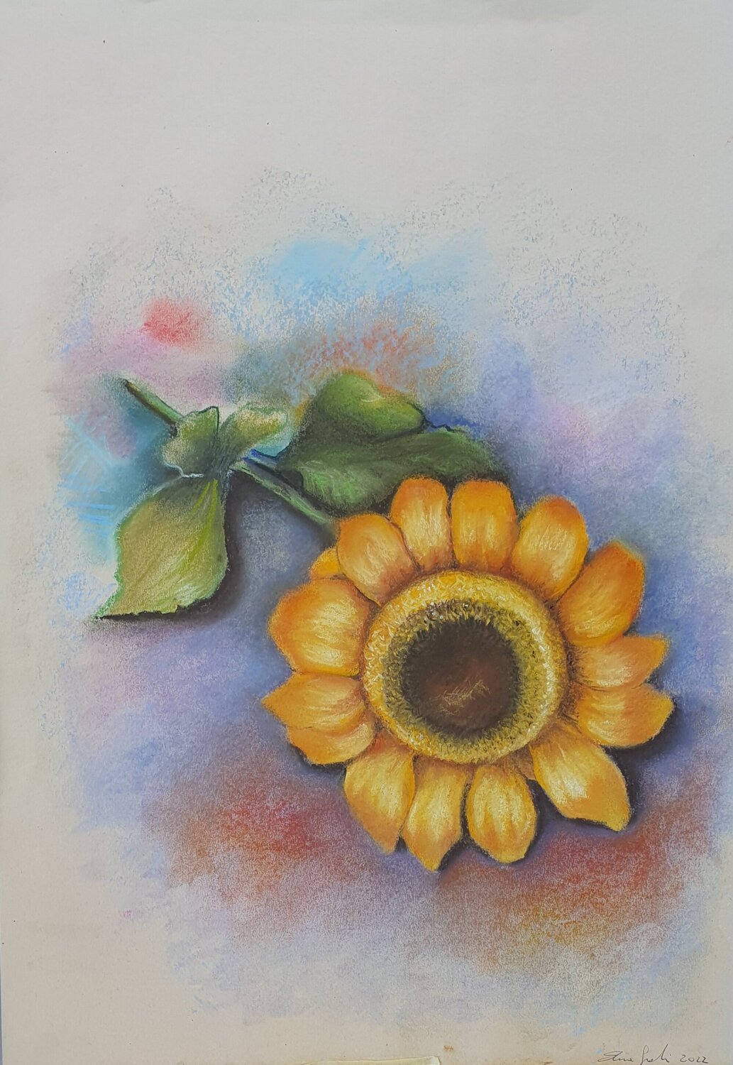 Girasole Elisa Spagnoli Drawing for sale