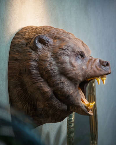 Wooden Hand-Carved Roaring Bear Head by M Yavuz Öney, Sculpture for Sale on Select