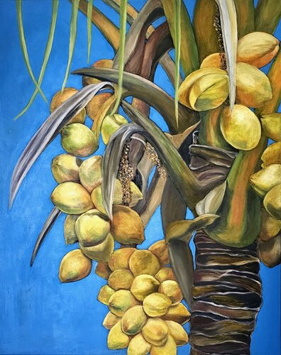 Kokosnüsse by Eva Vogt, Painting for Sale on Select