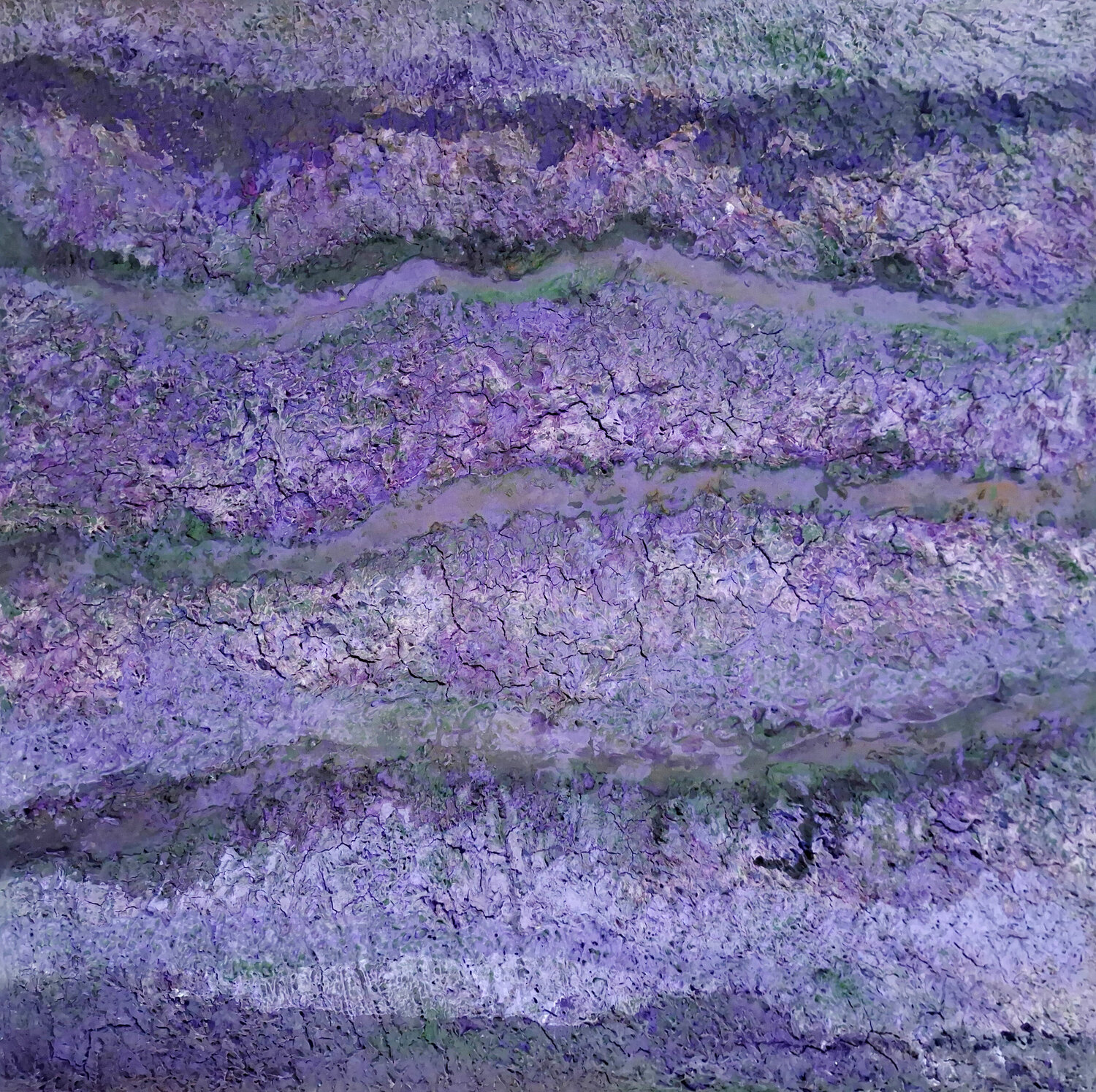 Filari di lavanda CLAUDIA AMADESI Original painting for sale
